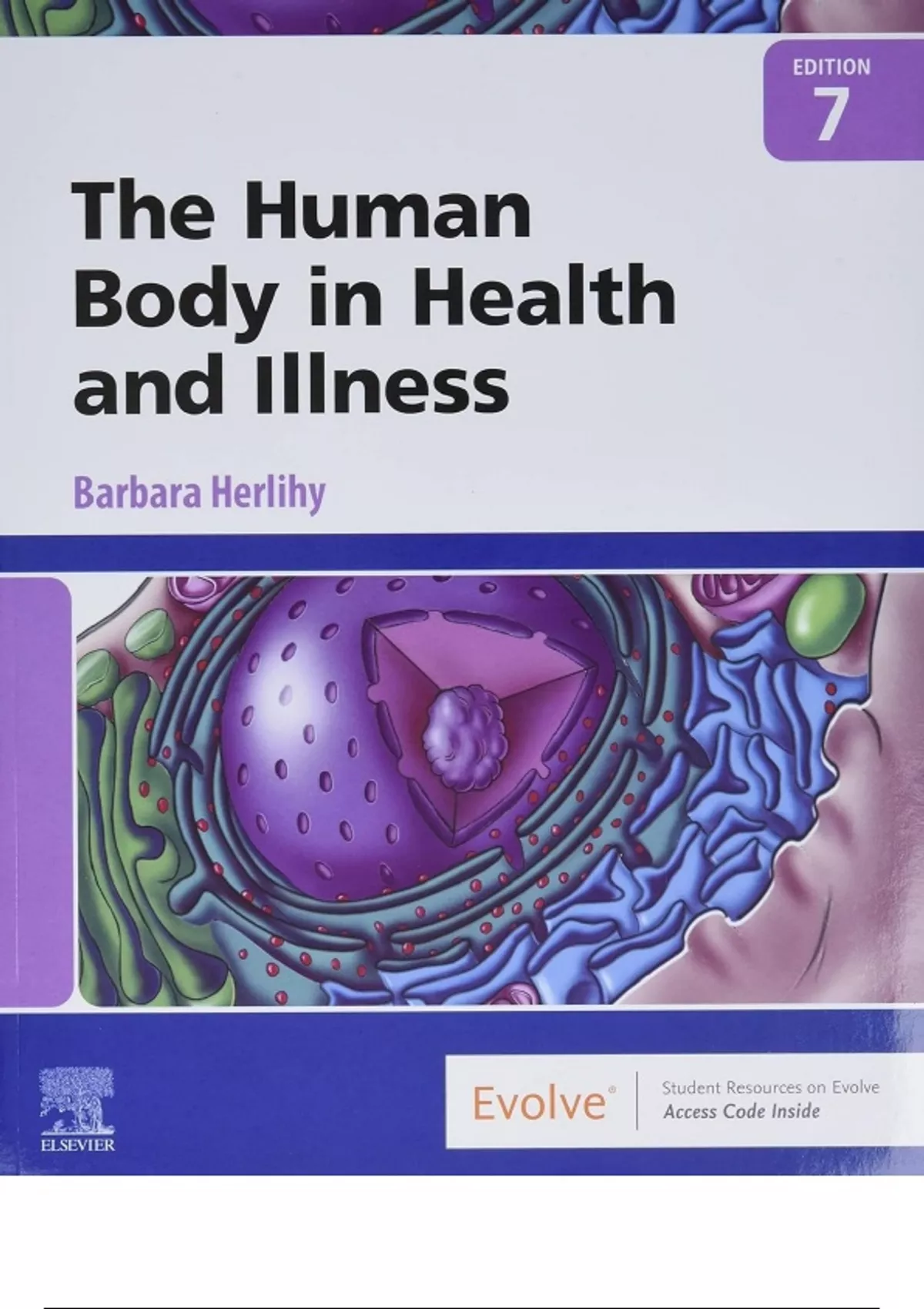 Test Bank for The Human Body in Health and Illness 7th Edition ...