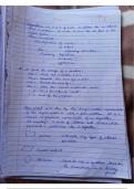 C programming notes for university students 
