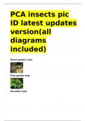 PCA insects pic ID latest updates version&lpar;all diagrams included&rpar;&period;