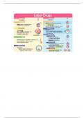 NU 448 Labor Drugs Summary 