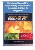 Solutions Manual For  Accounting Principles 6th  Edition  Weygandt