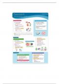 NUR 163 Pneumonia Simple Nursing Template III