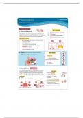 NUR 163 Pneumonia Simple Nursing Template II
