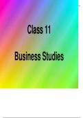  grade 11 - CHP 1 - Nature and purpose of business