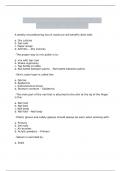 Nail Technician Practice Test 2020 question with answers