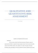   QUALITATIVE AND  QUANTITATIVE RISK ASSESSMENT  IT 313-X3531  Qualitative and Quantitativ