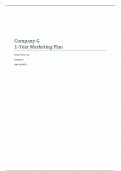 WGU VZT1 Company G Marketing Plan- Perfect Score First Attempt&vert;2025 Update&period;