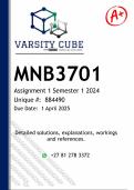 MNB3701 Assignment 1 &lpar;DETAILED ANSWERS&rpar; Semester 1 2025 - DISTINCTION GUARANTEED 