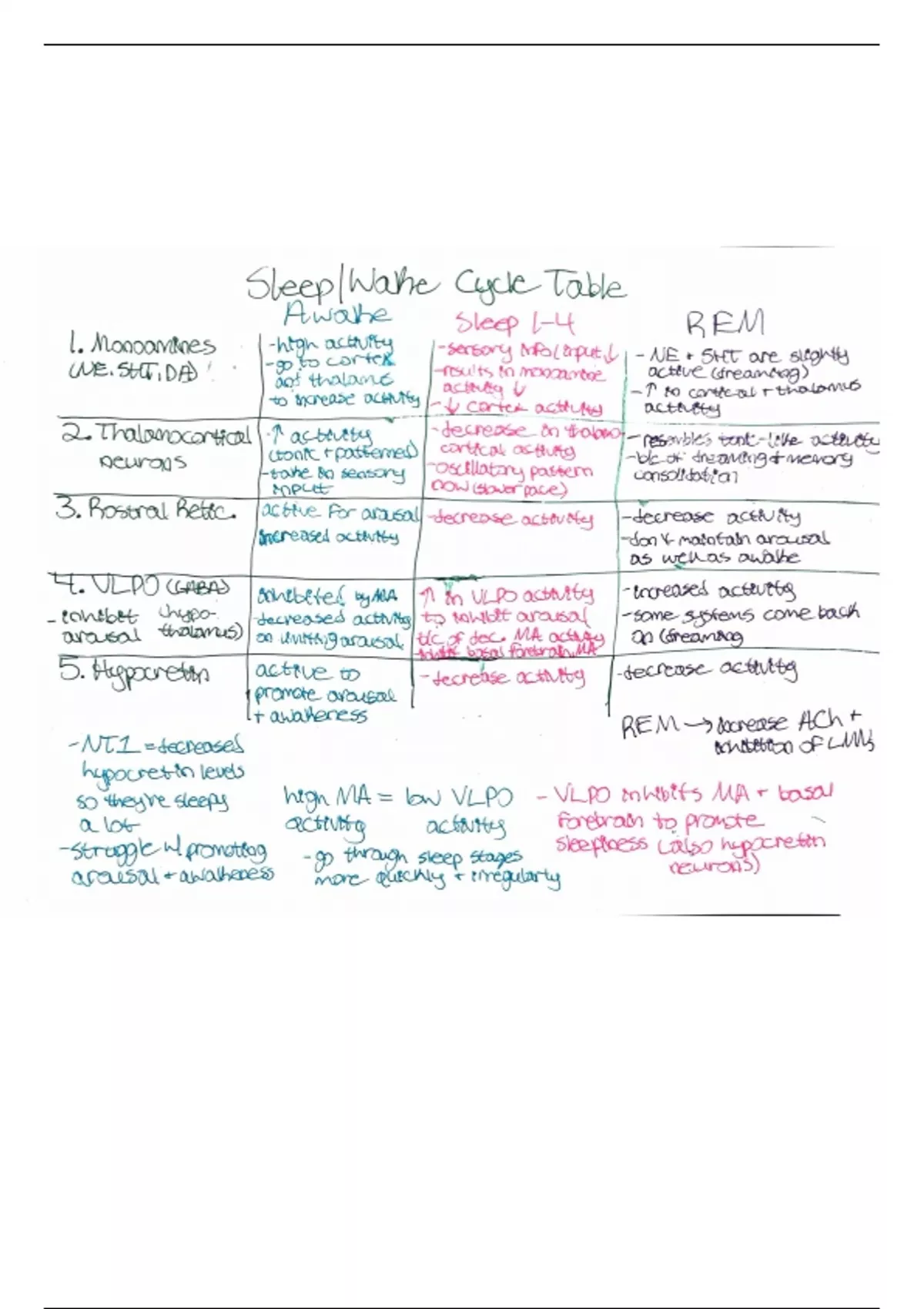 Neural Pathways Visual Review - Functional Neuroanatomy - Stuvia US