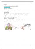Fysiologie _ samenvatting (uitgebreid)