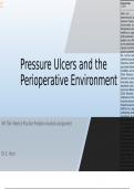 NR 706 Week 6 Practice Problem Analysis and Presentation Assignment - Pressure Ulcers and the Perioperative Environment