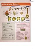 Summary Master The NCERT for NEET Biology - Vol&period;1 2020 -  English 