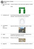D321 EXAM 1 STUDY GUIDE &lpar;DESIGN HISTORY 1 - UNITS 1-7&rpar; ALREADY PASSED&excl;&excl;