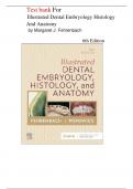 Test Bank For Illustrated Dental Embryology&comma; Histology&comma; and Anatomy 6th Edition &lpar; Authors &colon; Margaret J&period; Fehrenbach & Tracy Popowics&rpar; All Chapters &vert; Latest Edition 2025