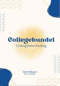 Collegebundels minor psychologie gedrag en be&iuml;nvloeding &lpar;NHL Stenden&rpar; 