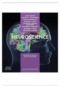 Neuroscience 6th Edition Purves Test Bank