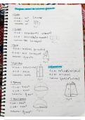 Class notes Maths 