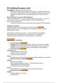 Samenvatting Europees recht inclusief casusaanpak&period; B1 rechten&period;
