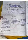 Sectors of Economy class 10 chapter 2