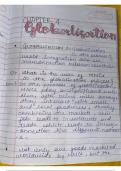 Class 10 Economics NCERT chapter 4 Globalisation Notes