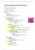 Samenvatting -  Locomotorisch stelsel en huid