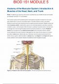 BIOD 151 Anatomy of Muscular system  M5&colon; Exam with Questions and Verified Answers