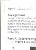 Human Pedigree AP biology 