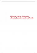 Understanding Cellular Respiration&colon; A Comprehensive Overview
