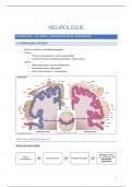 Samenvatting Neurologie &lpar;2de master&rpar;