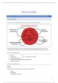 Samenvatting Psychiatrie &lpar;2de master&rpar;