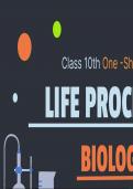 Life process 