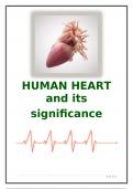 Human heart