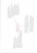 Controlling cell division - Mind Map