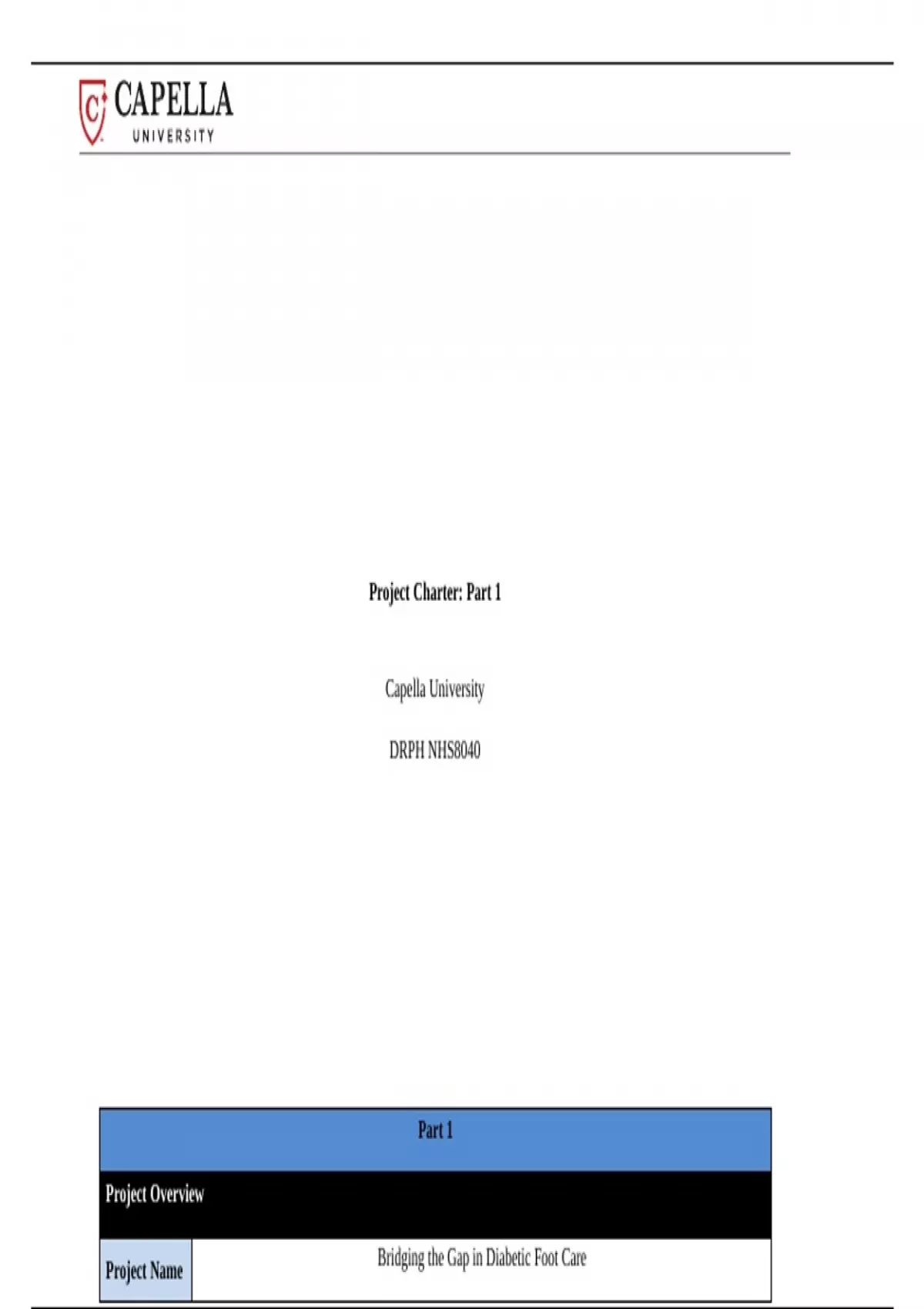 Summary Project Charter: Part 1Capella University DRPH NHS8040Part ...
