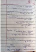 Summary -  history