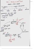 Class notes botany PLANT KINGDOM - NCERT Class 12 Biology 