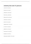  anatomy lab exam &num;1 pictures verified accurate for guaranteed pass&vert; graded a&plus;&period;