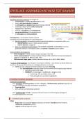 Samenvatting deel kanker erfelijkheid -  Hemato-oncologie &lpar;E0C12A&rpar;
