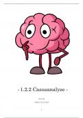 casusanalyse 1&period;2&period;2