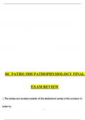 PATHO 3505 Pathophysiology Final Exam Review Questions with Answers &lpar;Verified Answers&rpar; Complete Solution Latest 2025 Update Graded A&plus; 100&percnt; guaranteed pass&period;