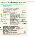 AP Biology&colon; DNA and RNA Structure and Function 