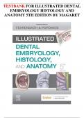 Illustrated Dental Embryology Histology and Anatomy 5th Edition Test Bank by Margaret J&period; Fehrenbach RDH MS and Susan W&period; Herring PhD