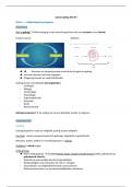 Samenvatting -  Veiligheid en gedrag P3