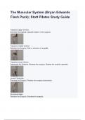 The Muscular System &lpar;Bryan Edwards Flash Pack&rpar;&semi; Stott Pilates Study guide questions and answers