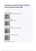 The Muscular System &lpar;Bryan Edwards Flash Pak&rpar; Stott Pilates IMP questions and answers