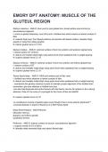EMORY DPT ANATOMY&colon; MUSCLE OF THE GLUTEUL REGION QUESTIONS AND ANSWERS GRADED A&plus; 2025&sol;2026
