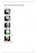 BHSC 1200 LAB FINAL STUDY GUIDE