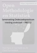 Uitgebreide samenvatting Onderzoekspracticum inleiding onderzoek - PB0212