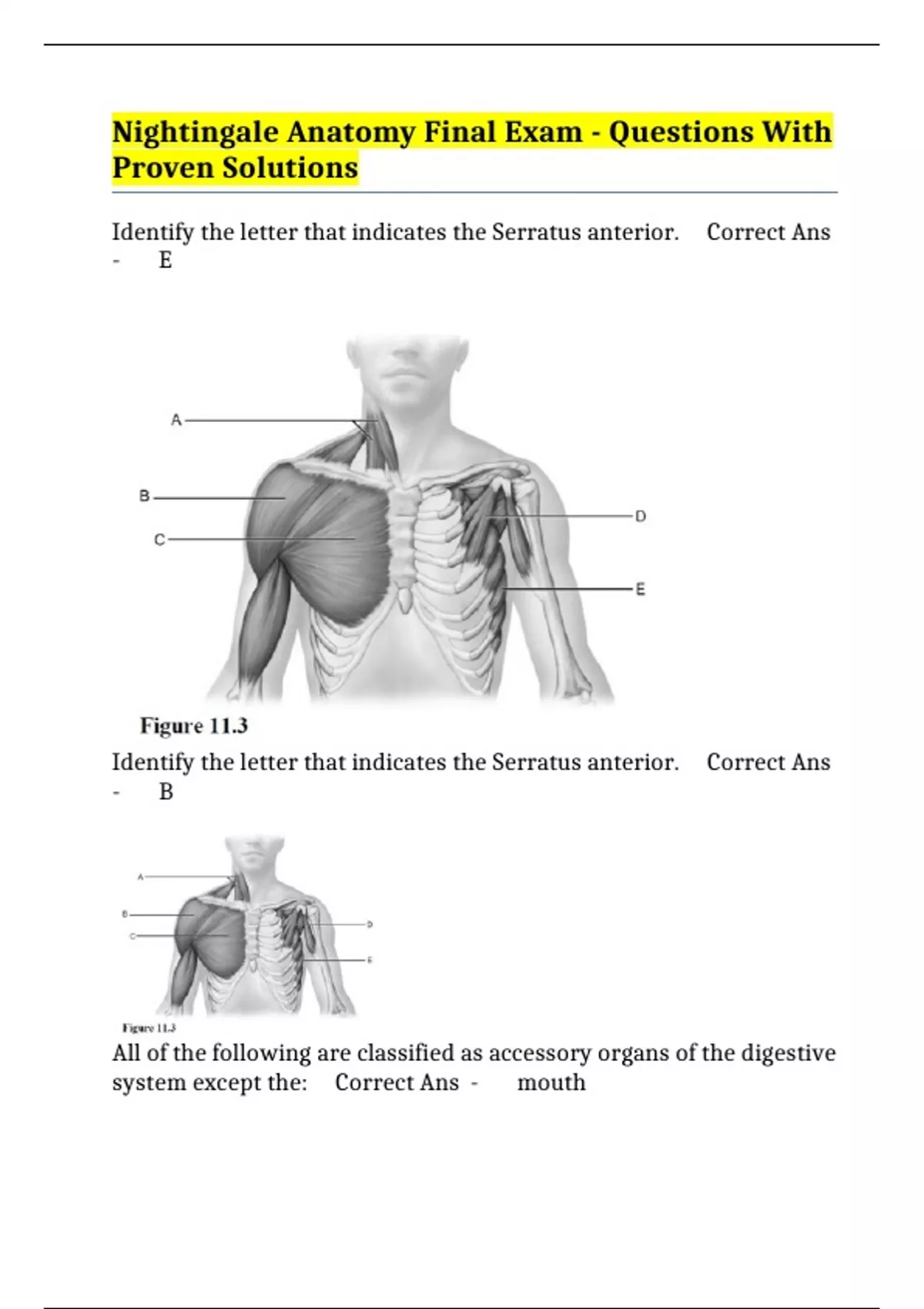 Nightingale Anatomy Final Exam - Questions With Proven Solutions ...
