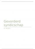 Samenvatting gevorderd syndicschap - 24'25' - geslaagd met 16&sol;20